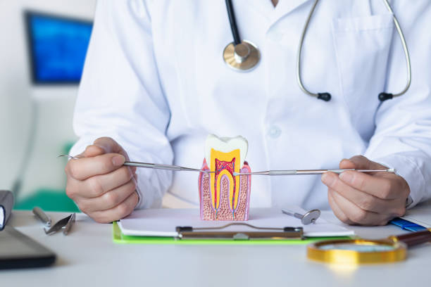 Best Emergency Root Canal Treatment in Homeland, CA